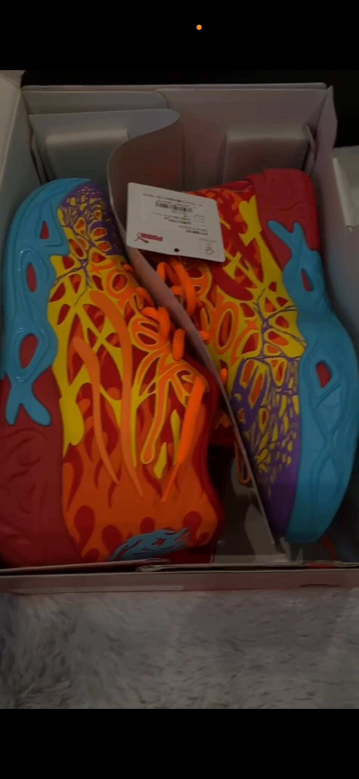 プーマ MB04 "フェニックス"