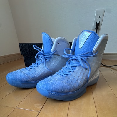 Nike Kobe 3 Protro "Royal Pulse"