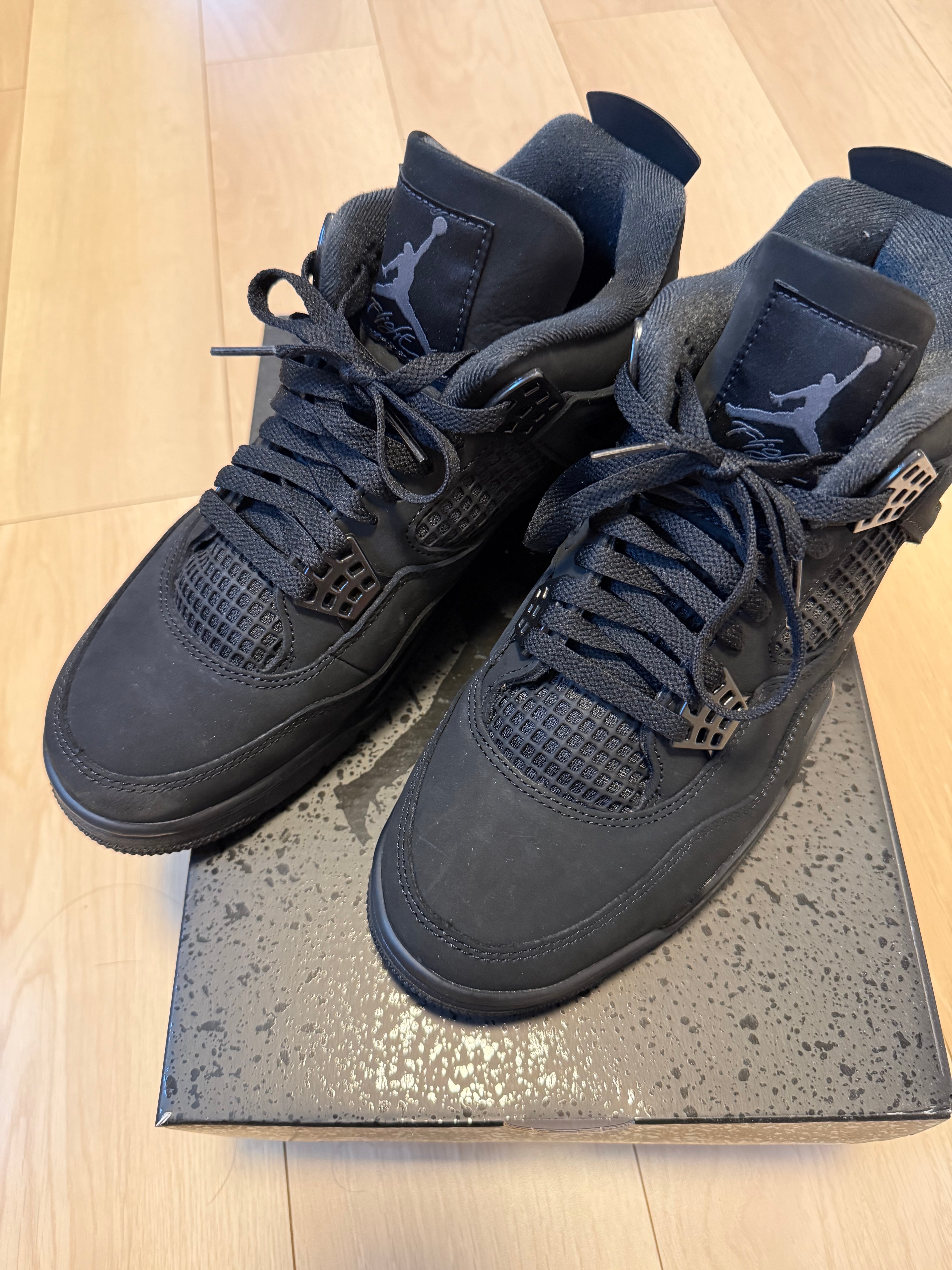 Nike Air Jordan 4 Retro OG "Black Cat" (2025)