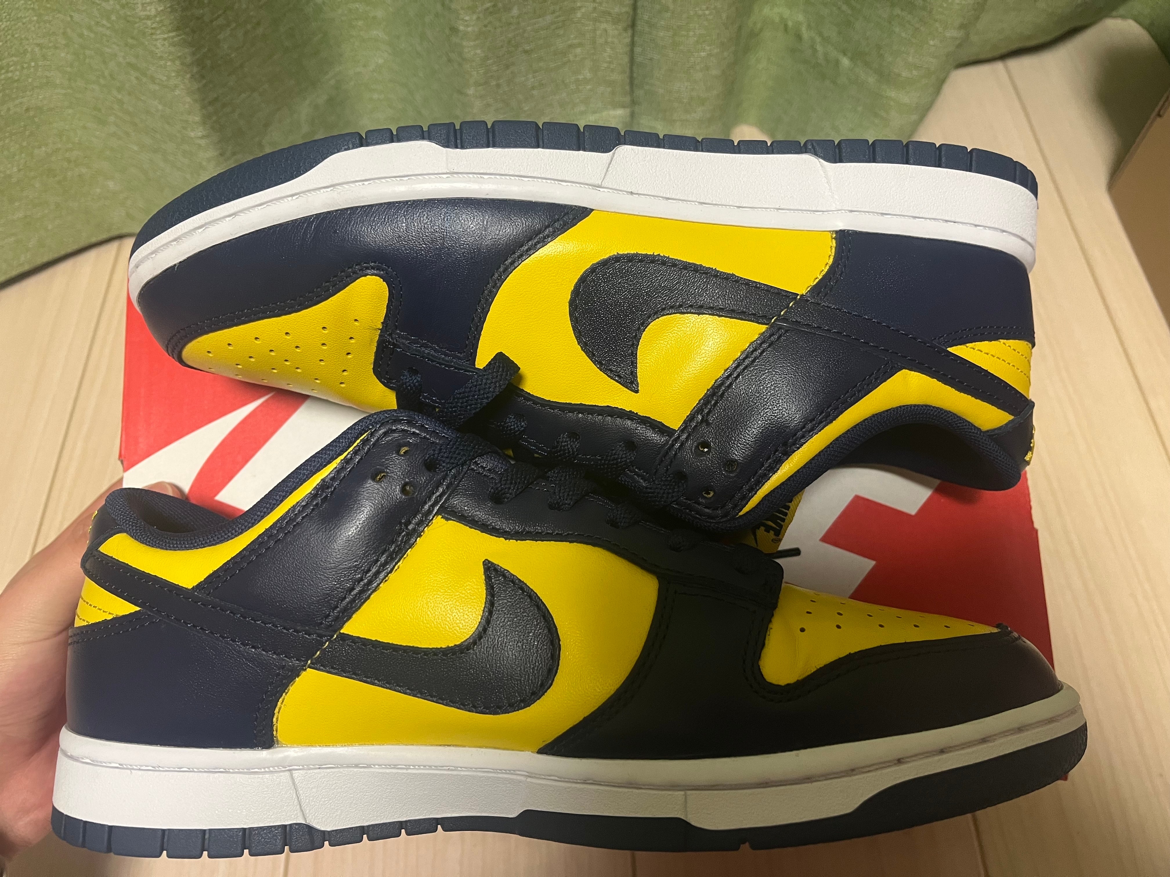 Nike Dunk Low "Michigan"