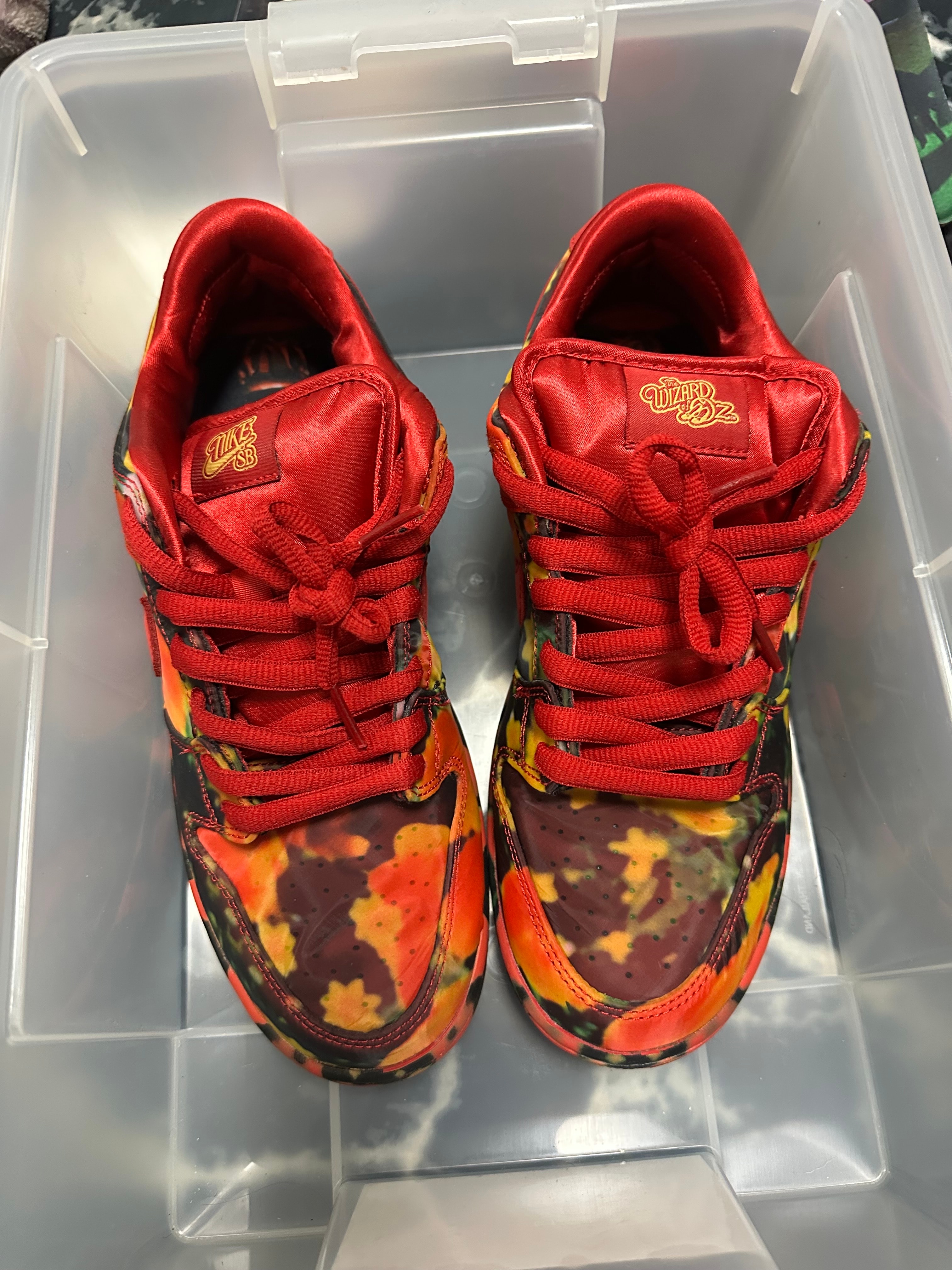 The Wizard of Oz × Nike SB Dunk Low "Poppy Field"