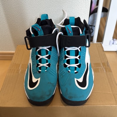 Nike Air Griffey Max 1 "Aqua"