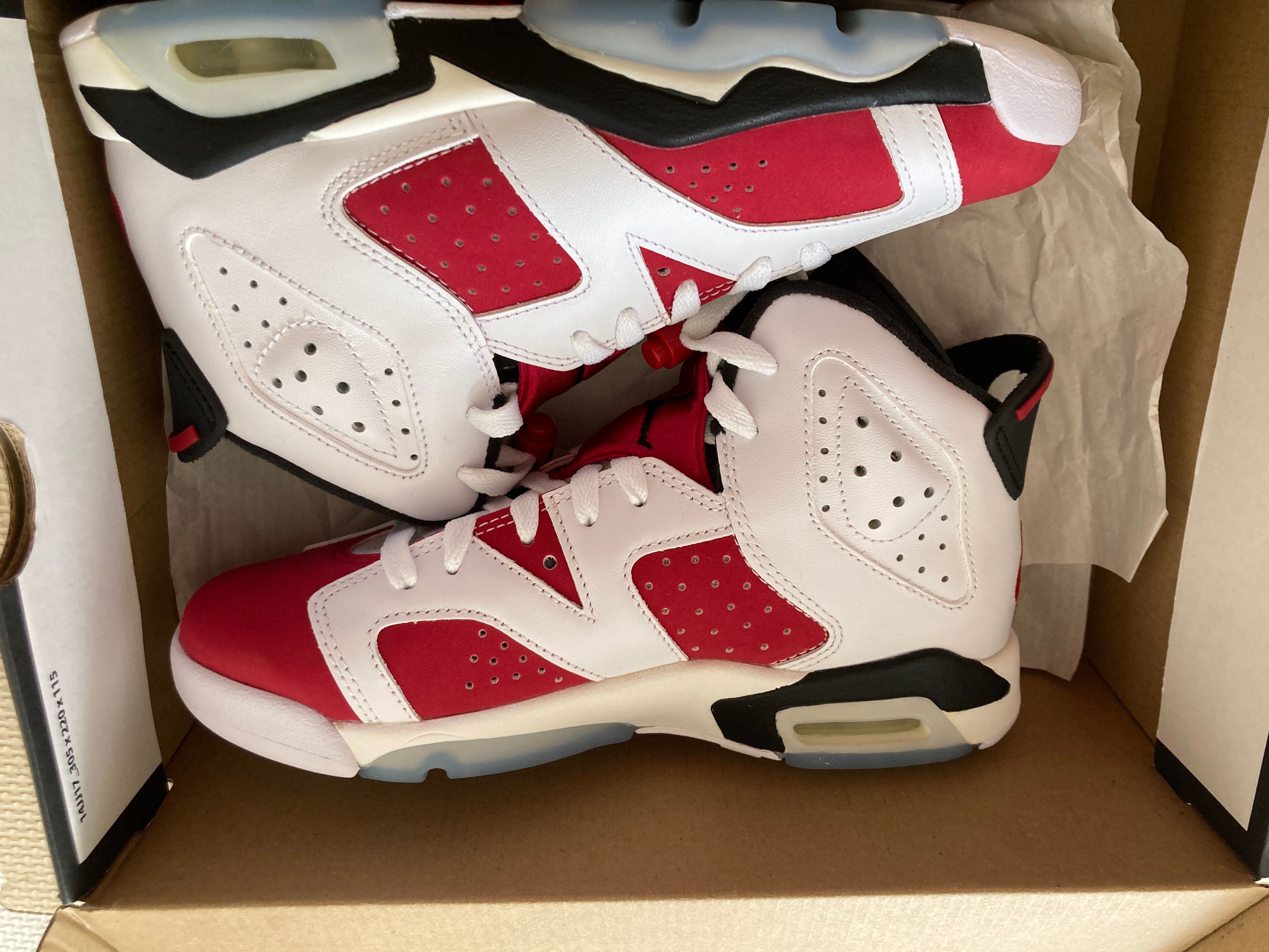 Nike Air Jordan 6 GS "Carmine" (2021)