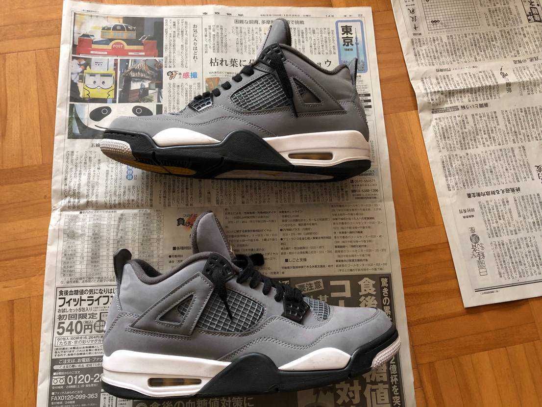 Nike Air Jordan 4 "Cool Grey"