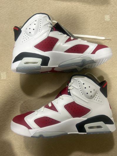 Nike Air Jordan 6 "Carmine" (2021)