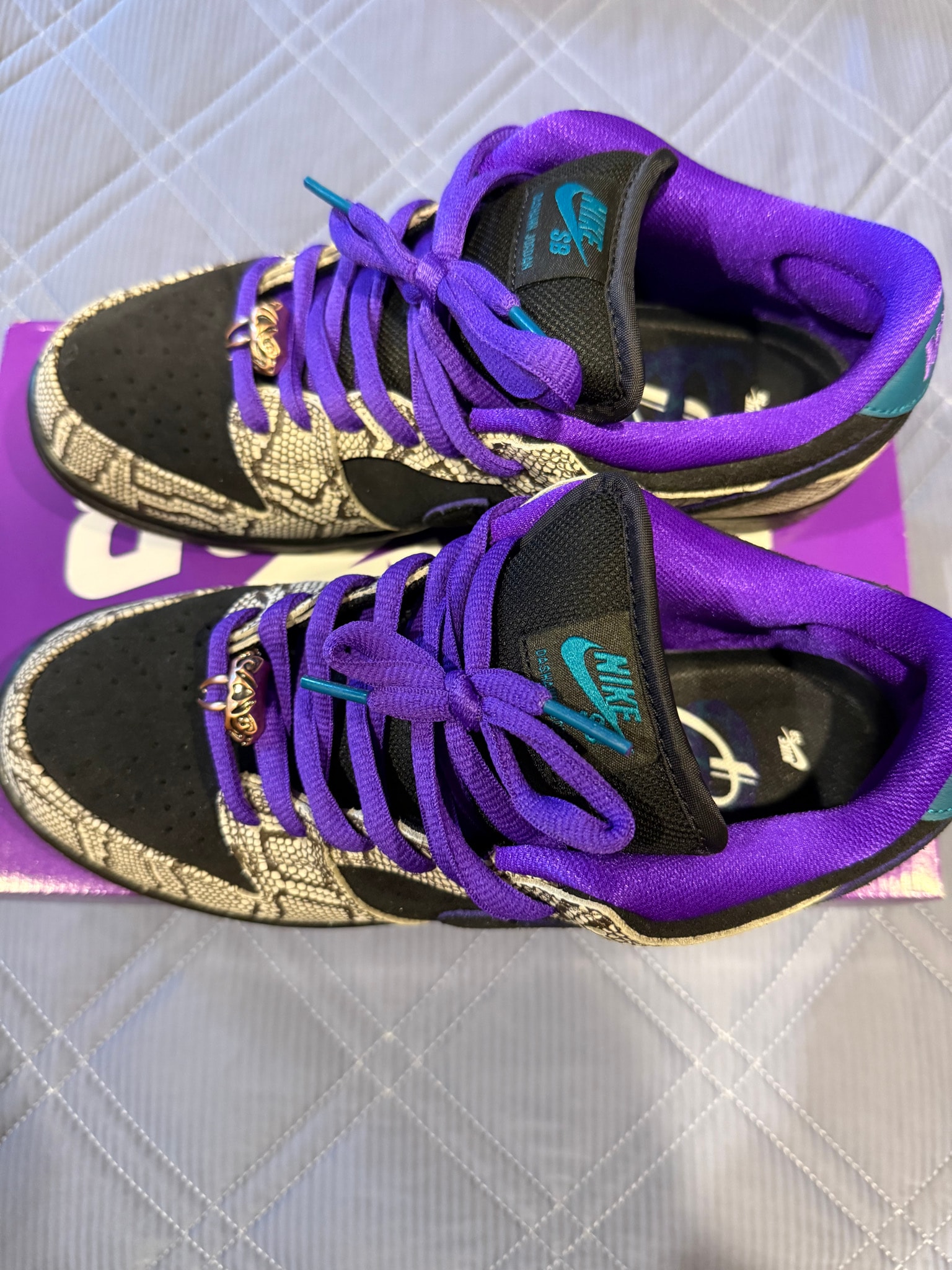 Dashawn Jordan × Nike SB Dunk Low "Copperhead"