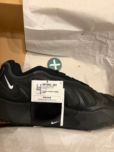 COMME des GARCONS HOMME PLUS × Nike Sense 96 SP "Black"