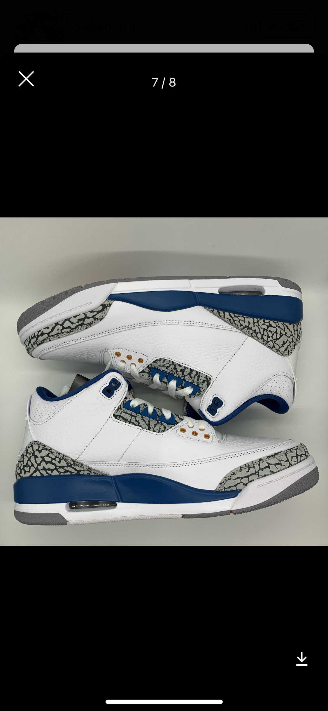 Nike Air Jordan 3 Retro "True Blue and Copper"