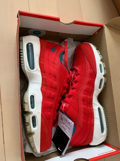 Nike Air Max 95 "Mount Fuji"