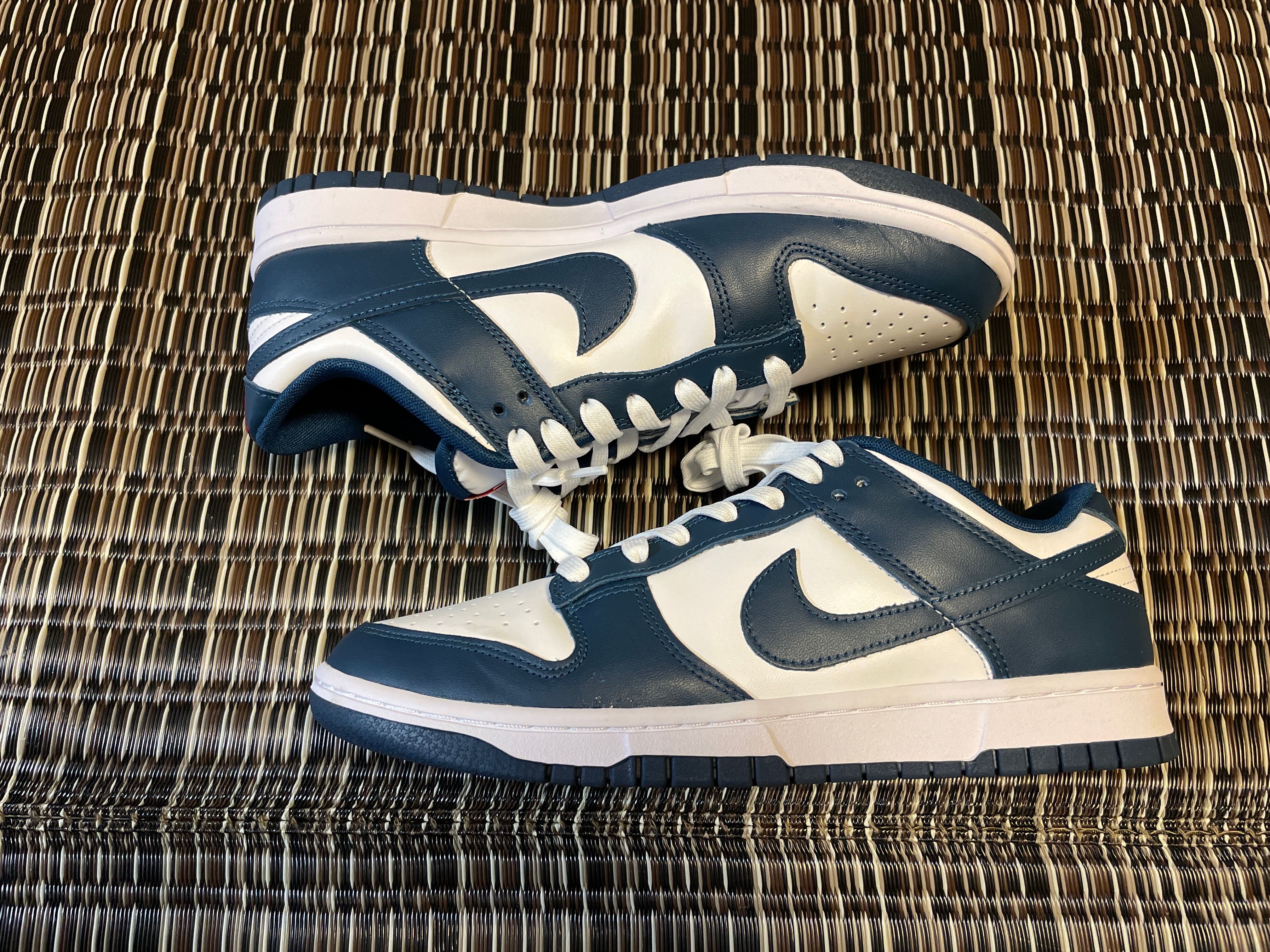 Nike Dunk Low "Valerian Blue"