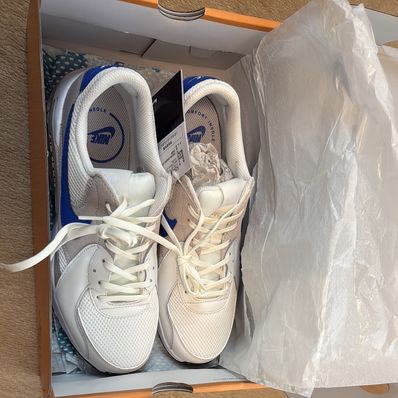 Nike Air Max Excee "Summit White/Vast Grey/College Grey/Racer Blue"