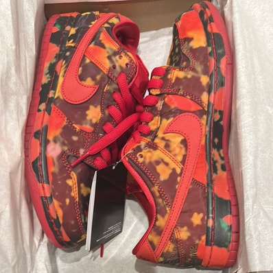 The Wizard of Oz × Nike SB Dunk Low "Poppy Field"