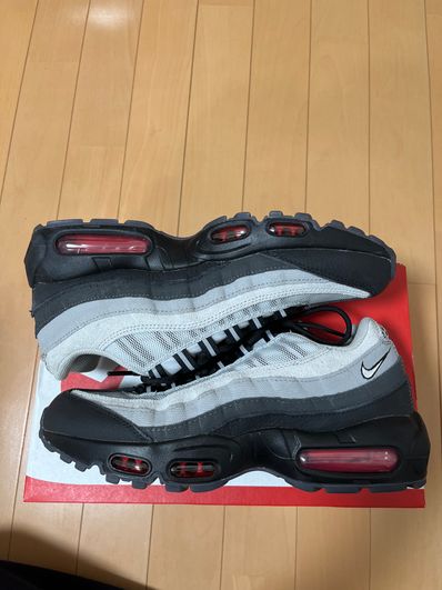Nike Air Max 95 Koi "Pure Platinum"