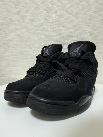 Nike Air Jordan 4 "Black Cat"