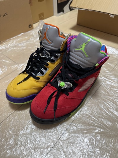 Nike Air Jordan 5 "What The"