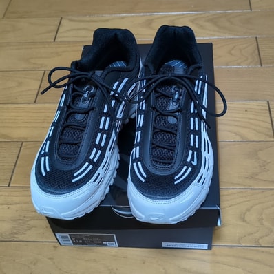 COMME des GARCONS HOMME PLUS × Nike Air Max TL 2.5 "Black/White"