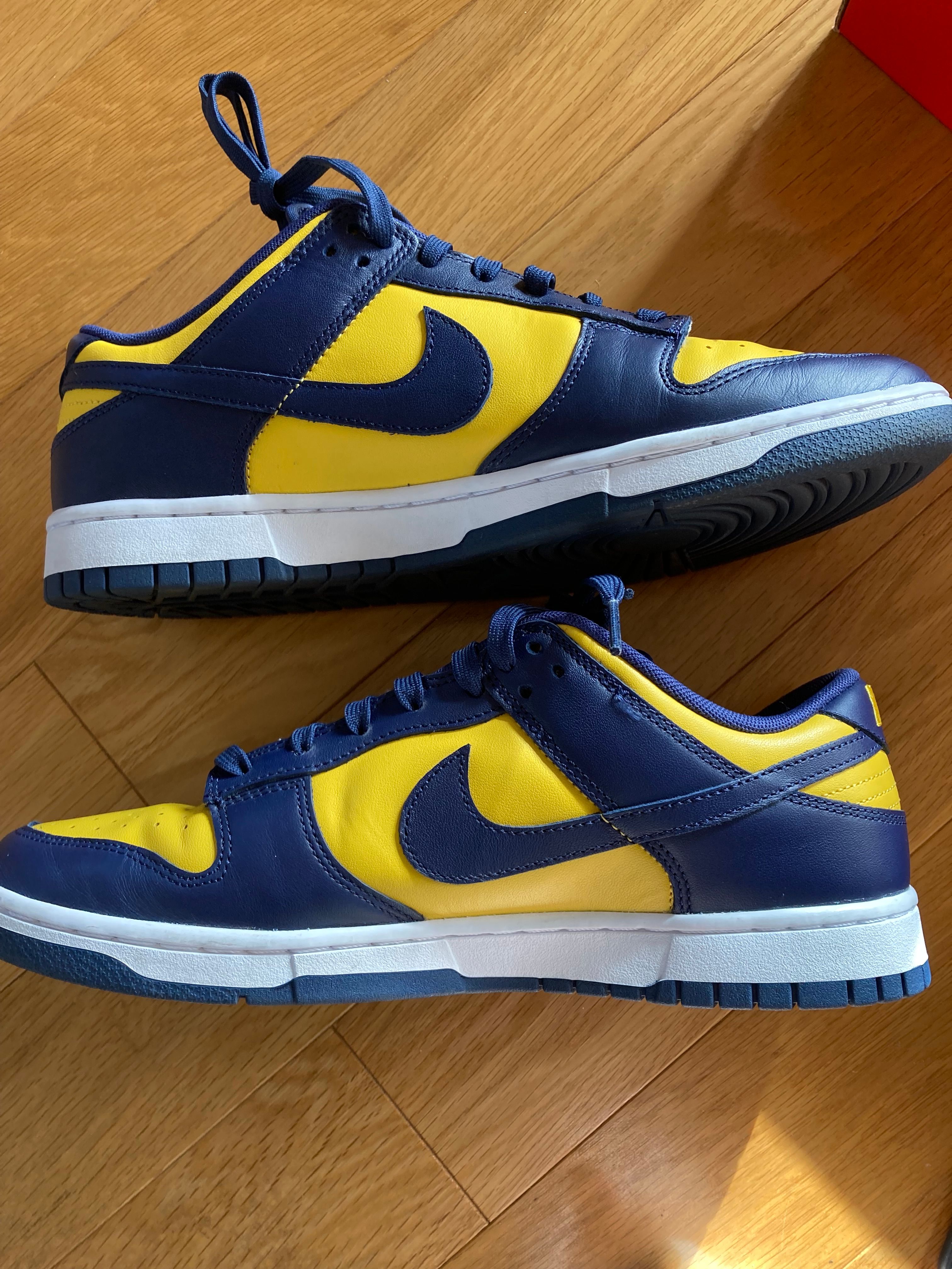 Nike Dunk Low "Michigan"