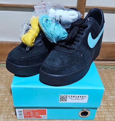 Tiffany & Co. × Nike Air Force 1 Low "1837"