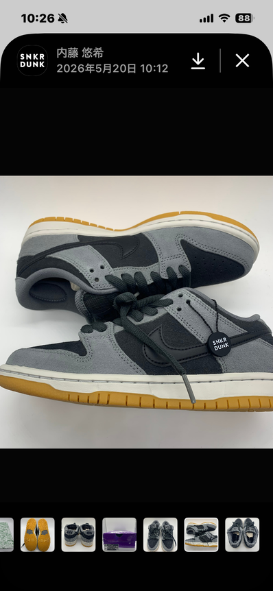 Nike SB Dunk Low Pro "Black and Smoke Grey"
