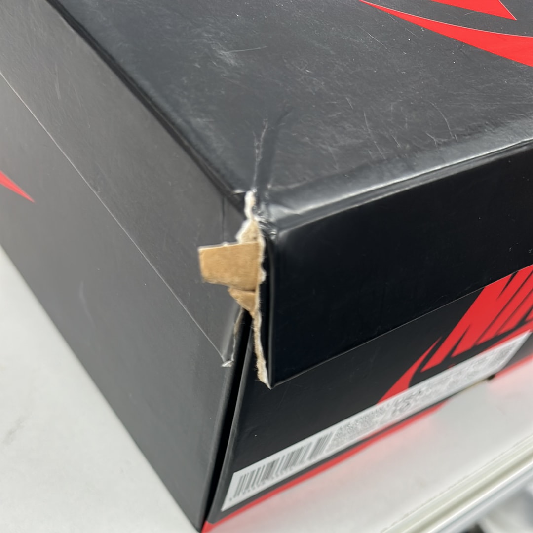 Nike Air Jordan 1 High OG "Sail/Dark Mocha/Black"