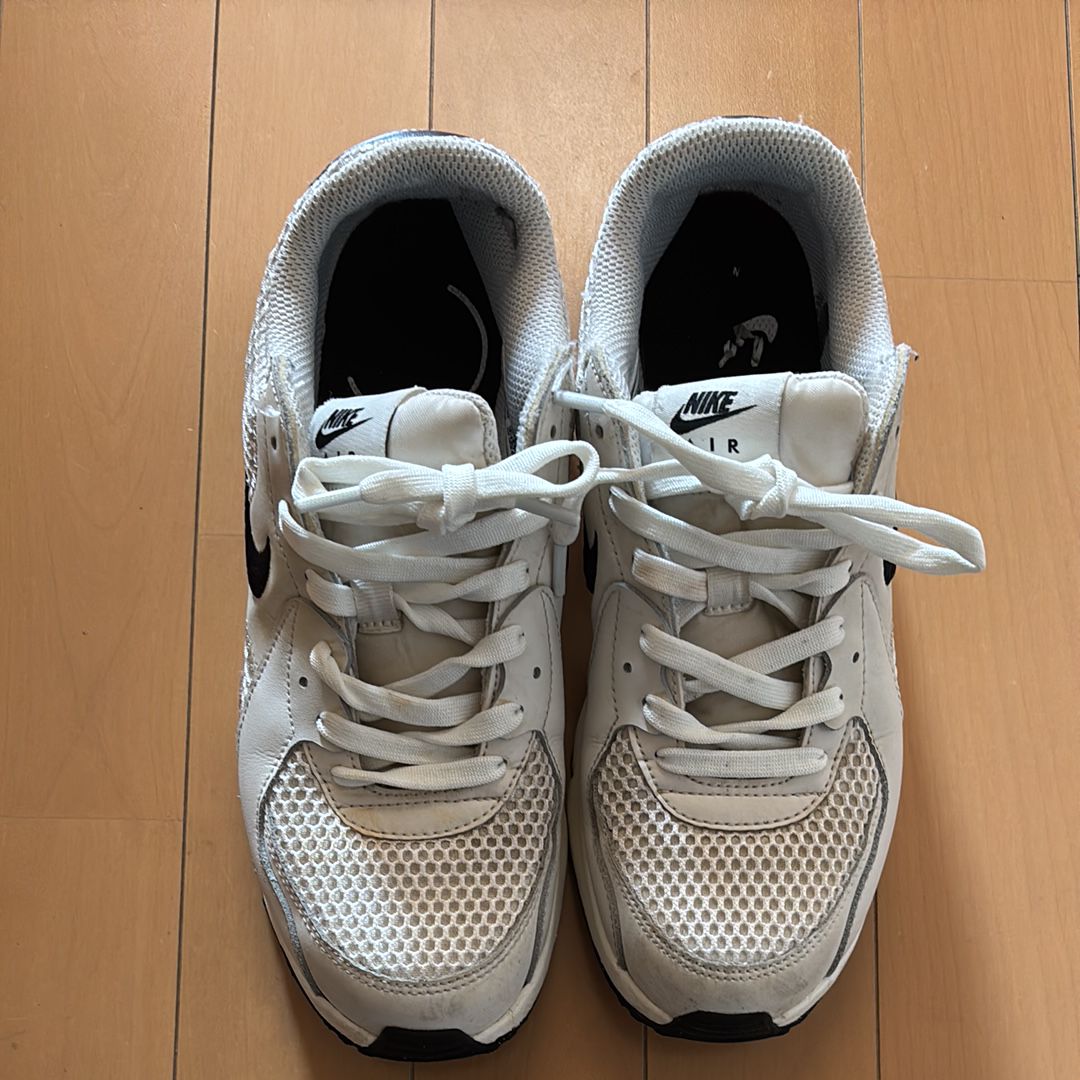 ナイキ ウィメンズ ナイキ エアマックス エクシー "ファントム/メタリックゴールド/セイル/ブラック"