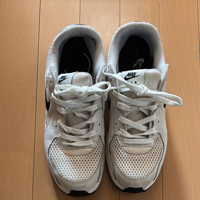 Nike Women's Air Max Excee "Phantom/Metallic Gold/Sail/Black"