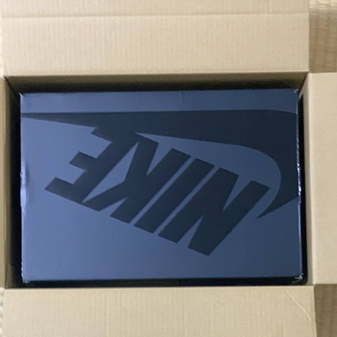 Nike Air Max 95 Big Bubble SP "Paisley/Bandana"