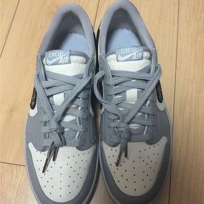 Dior × Nike Air Jordan 1 Low OG "Wolf Grey"
