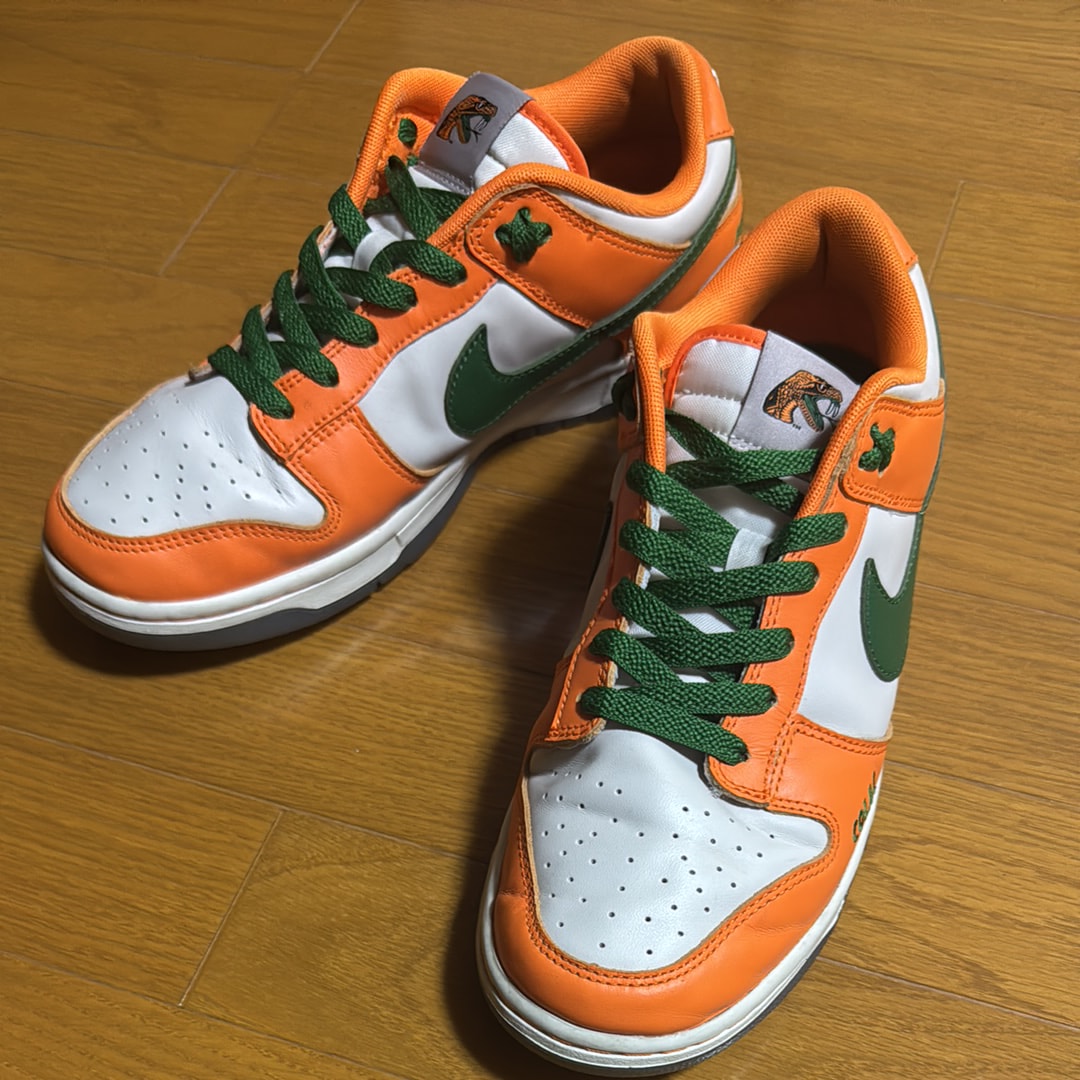 Florida A&M × Nike Dunk Low "Orange Horizon"