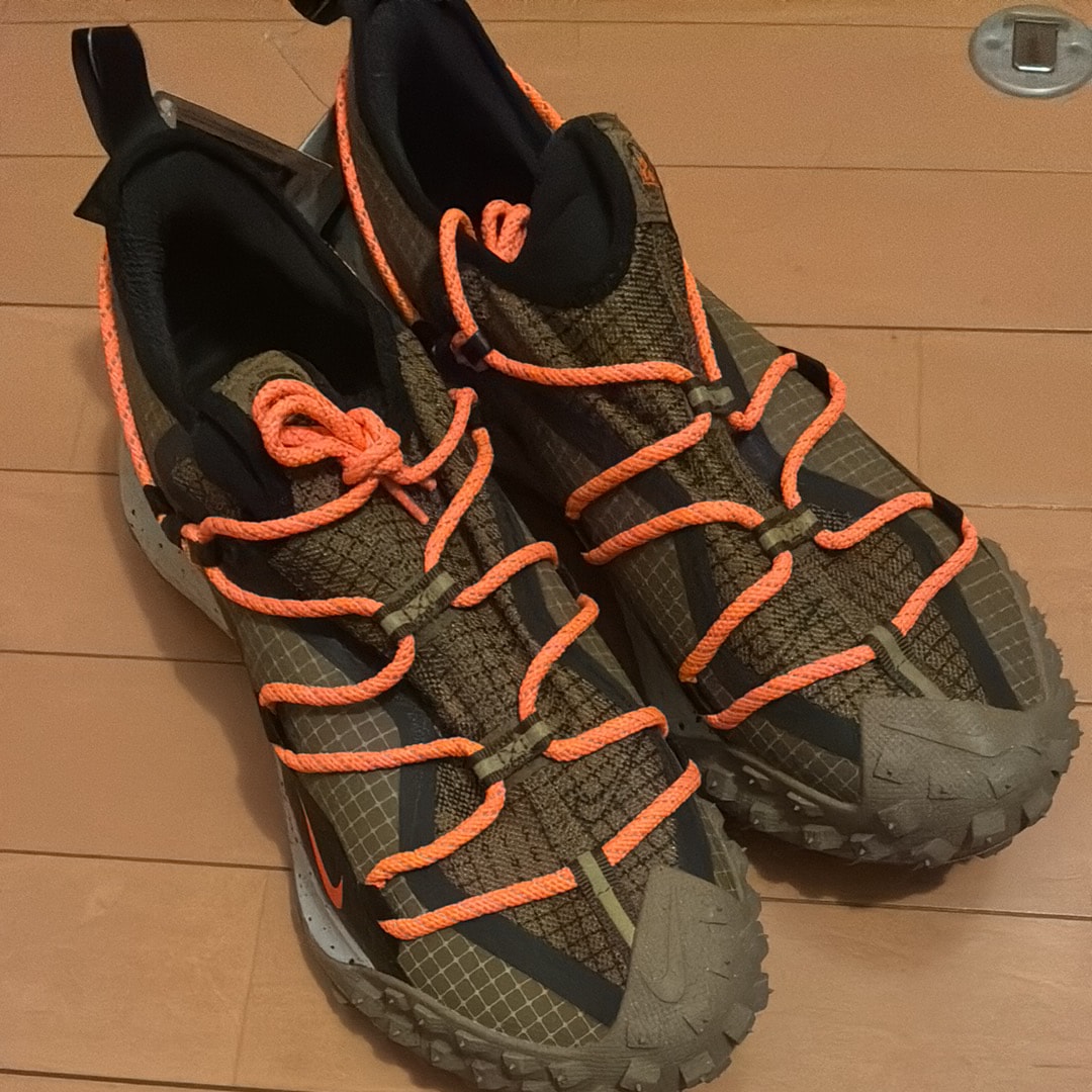 ナイキ ACG マウンテンフライ ロー ゴアテックス SE "ブラウン"