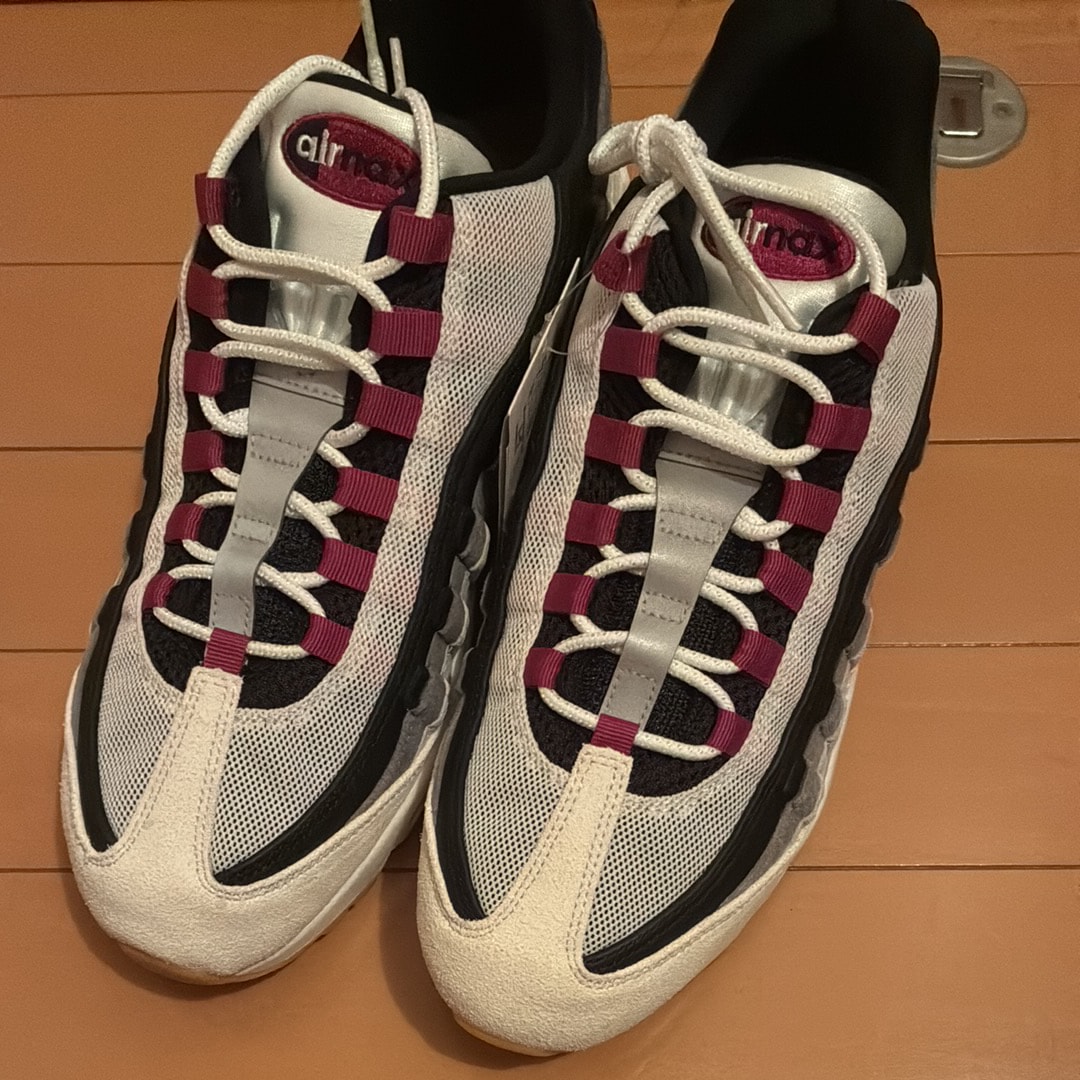 Nike SB Air Max 95 "Summit White/Cactus Flower"