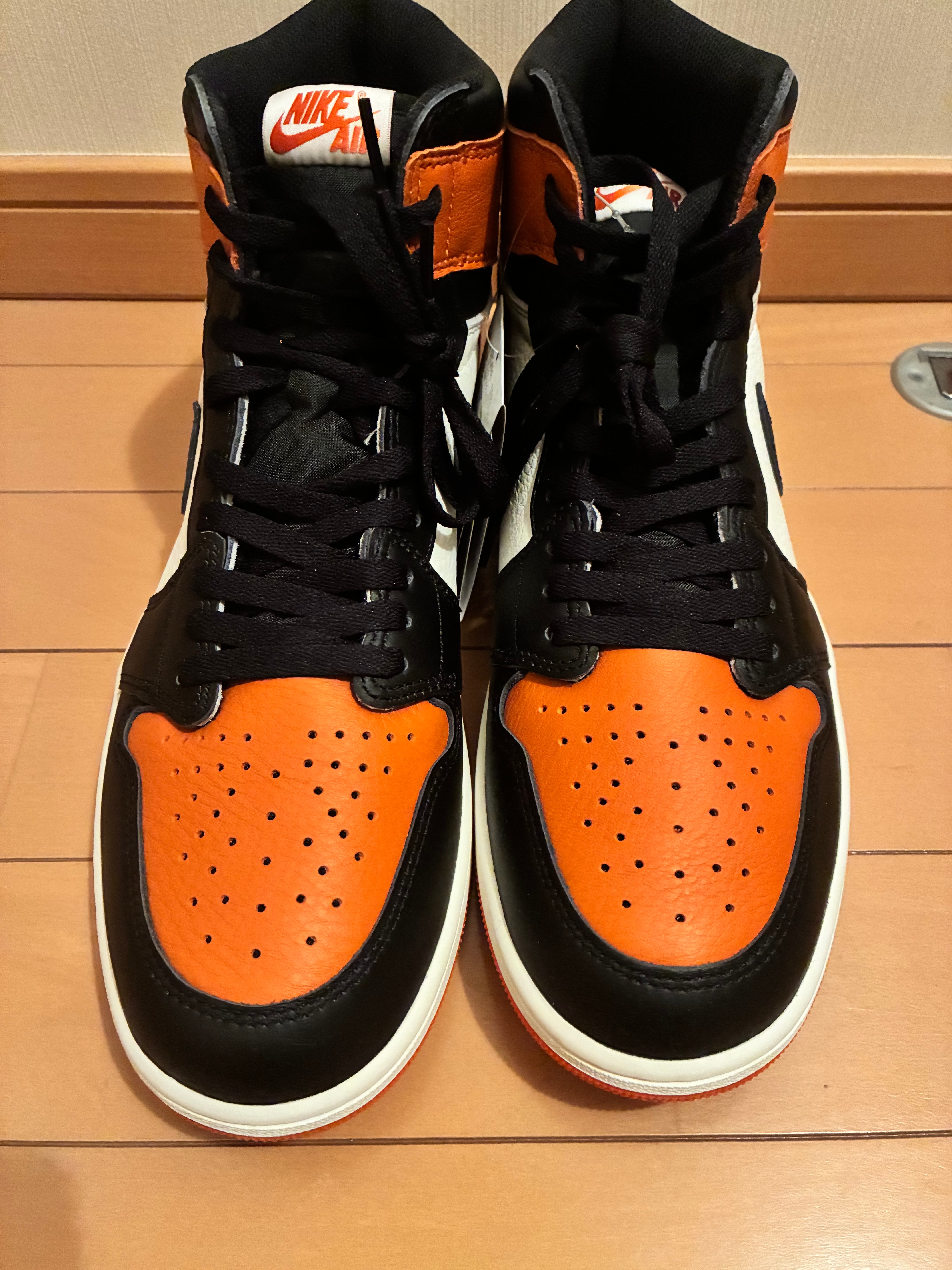 Nike Air Jordan 1 Retro High OG "Shattered Backboard" (2025)