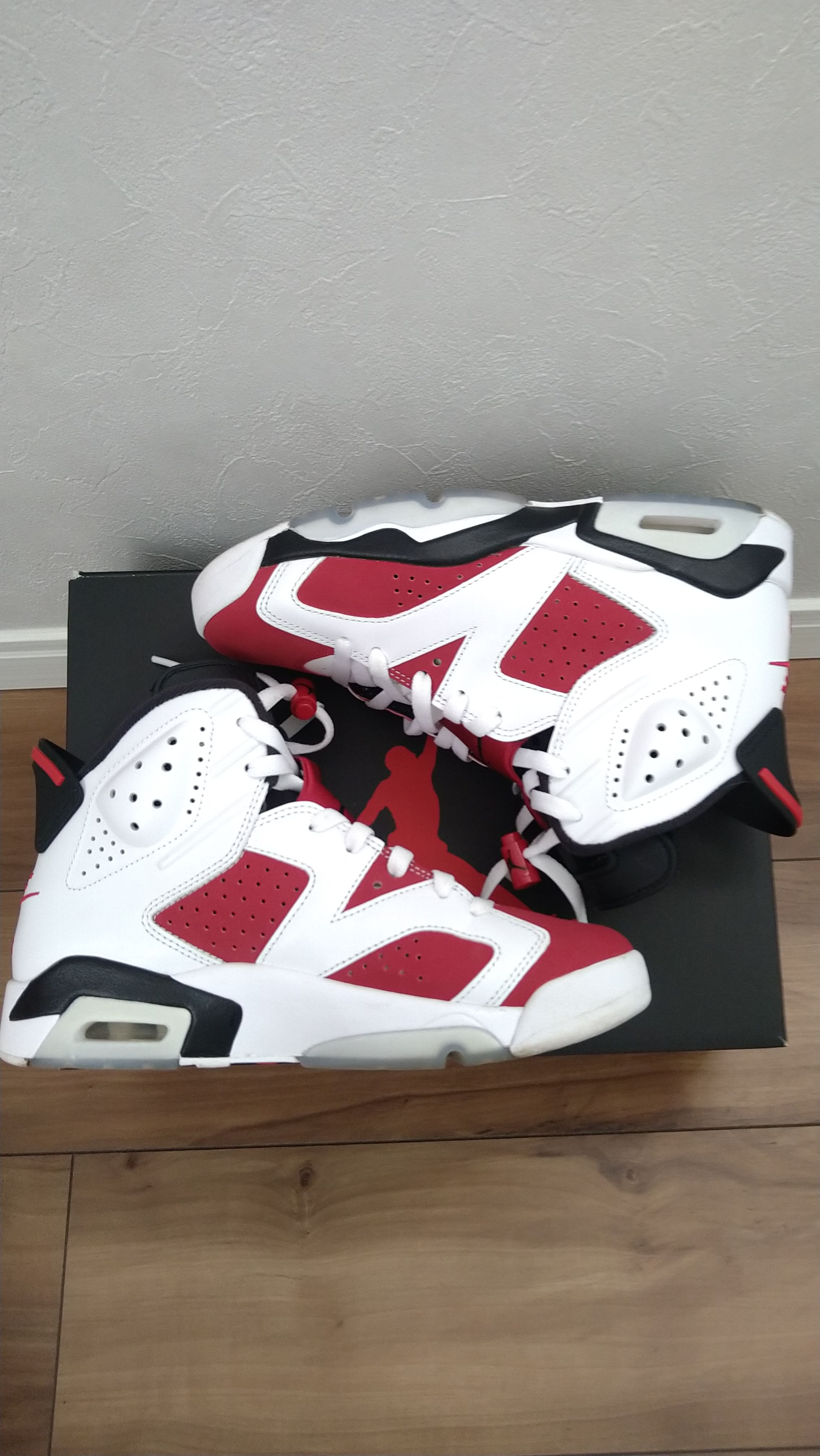 Nike Air Jordan 6 "Carmine" (2021)