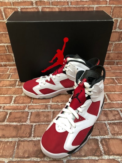 Nike Air Jordan 6 "Carmine" (2021)