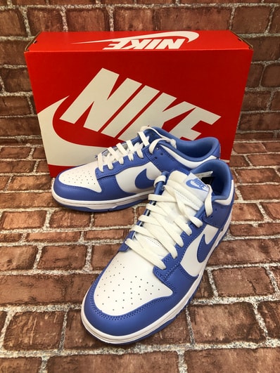 Nike Dunk Low Retro BTTYS "Polar Blue"