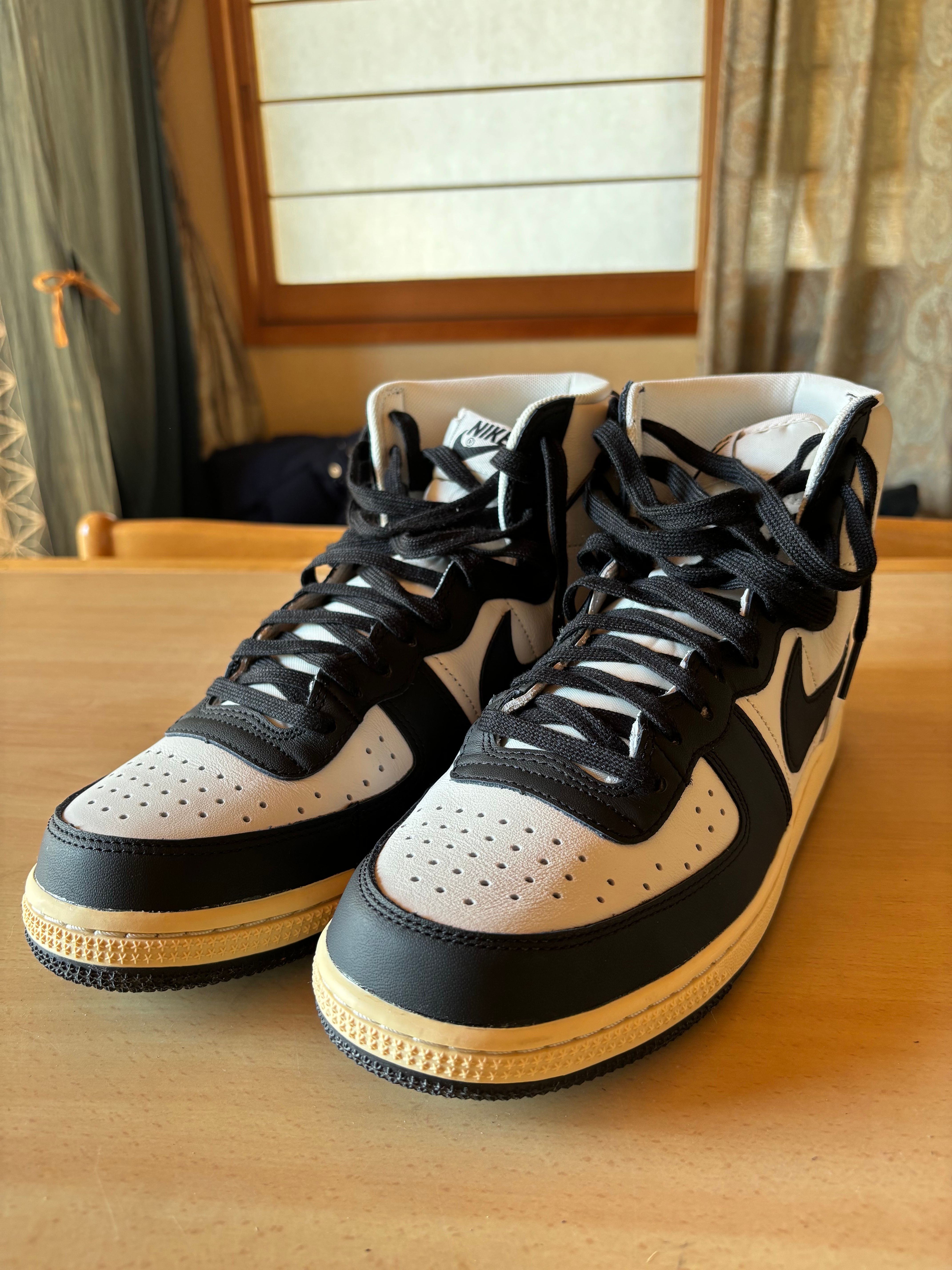 Nike Terminator High "Black and Phantom"