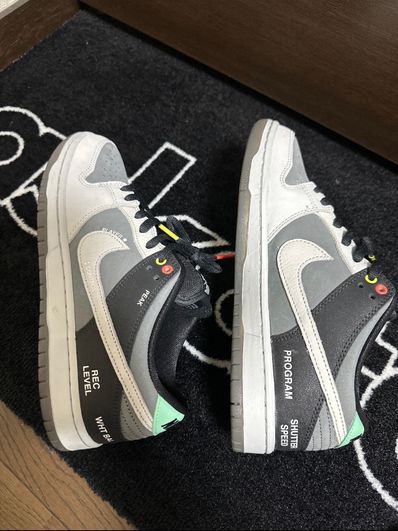 Nike SB Dunk Low Pro "VX1000 Camcorder"