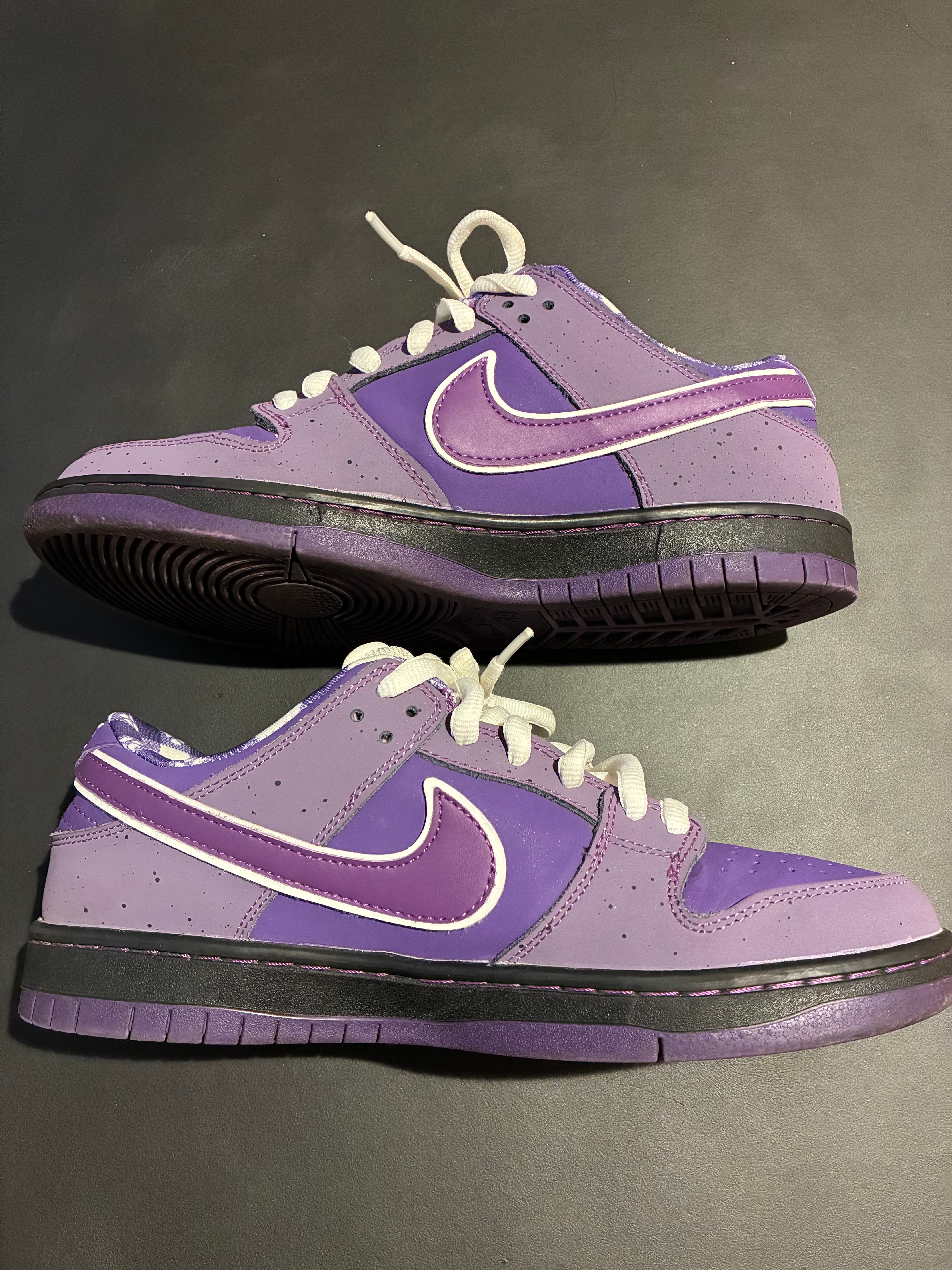 コンセプツ × ナイキ SB ダンク ロー "パープル ロブスター"