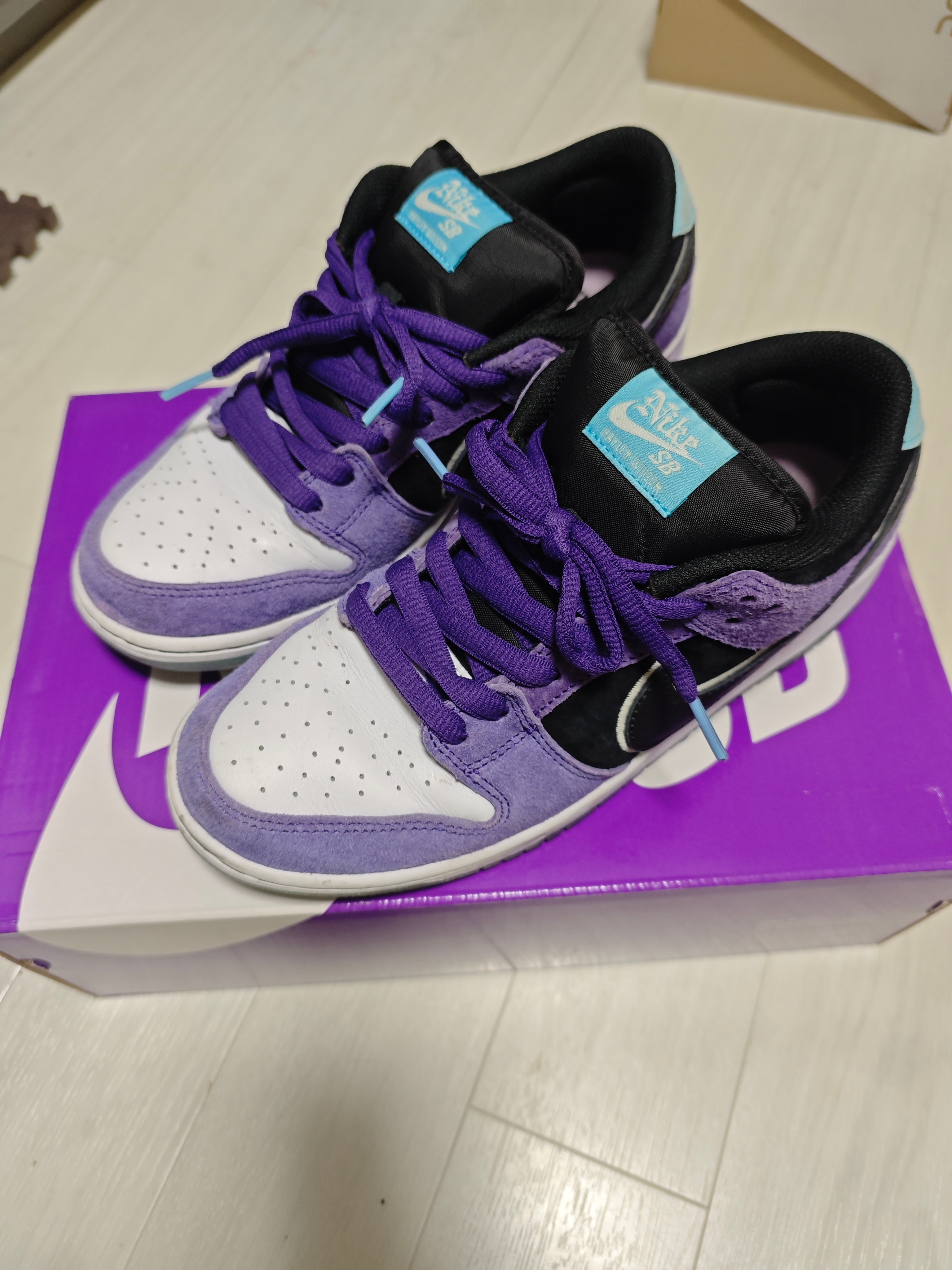 Hayley Wilson × Nike SB Dunk Low Pro "Black and Court Purple"