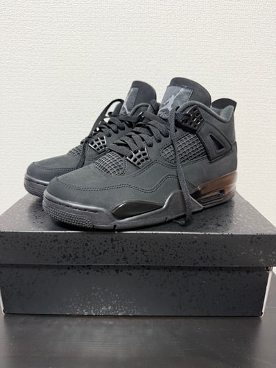 Nike Air Jordan 4 Retro OG "Black Cat" (2025)