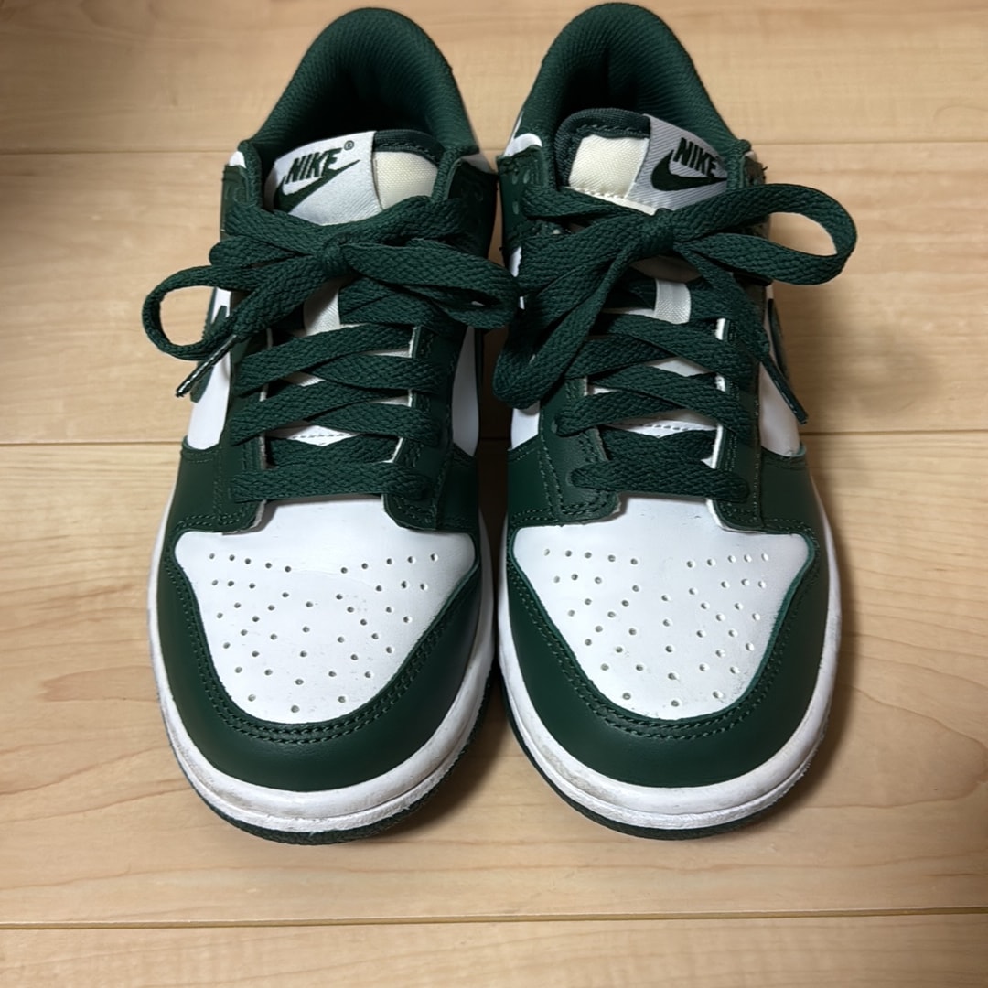 Nike Dunk Low Retro "Varsity Green/Team Green"