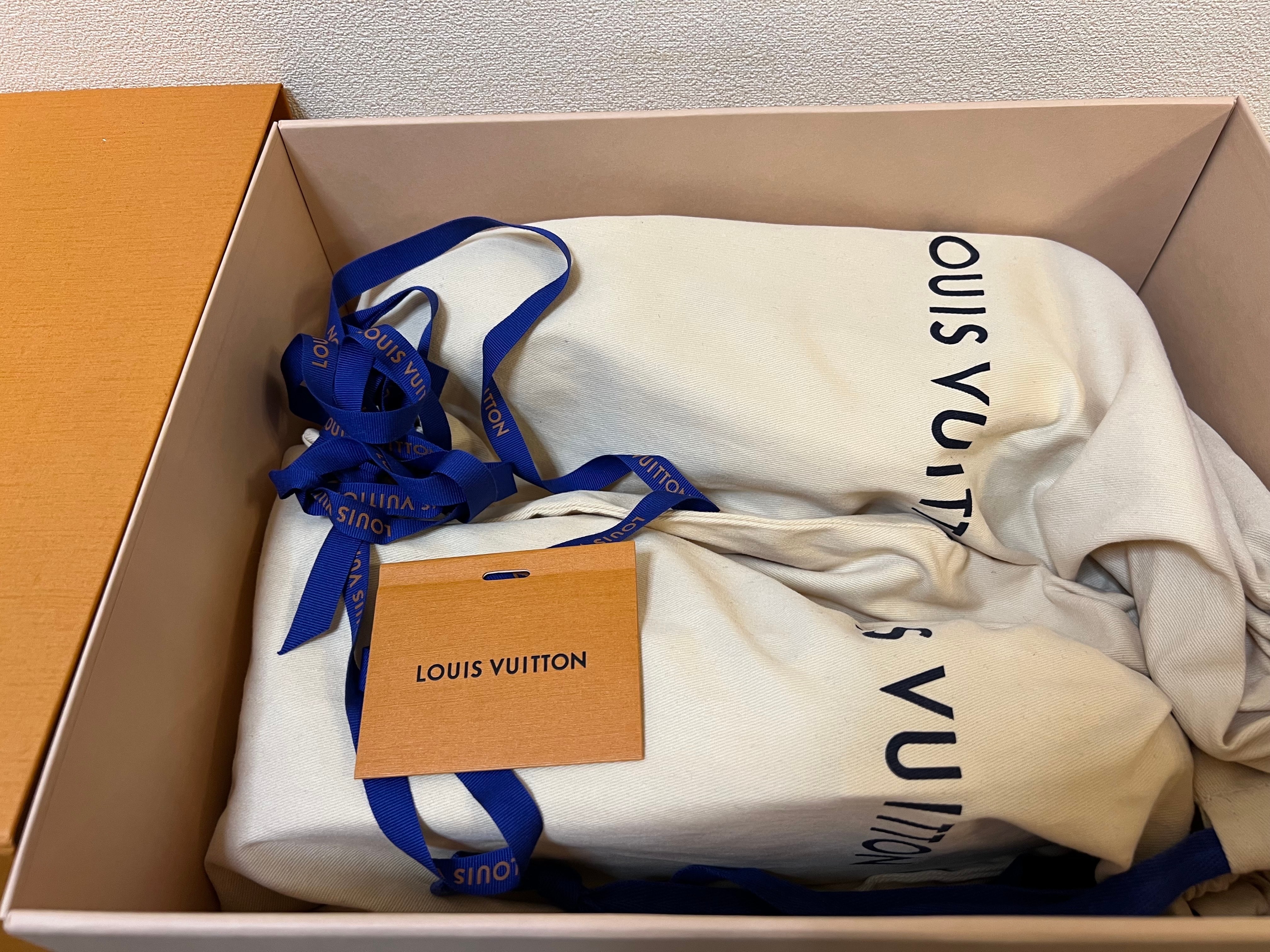 Louis Vuitton LV Trainer Sneaker "White"