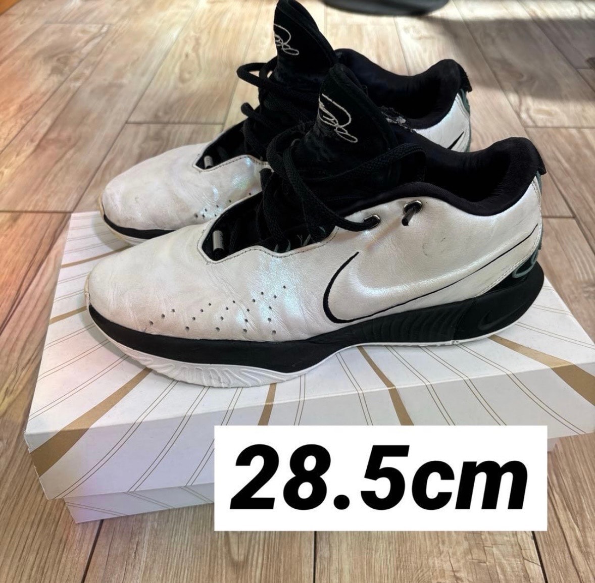 Nike LeBron 21 "Conchiolin"