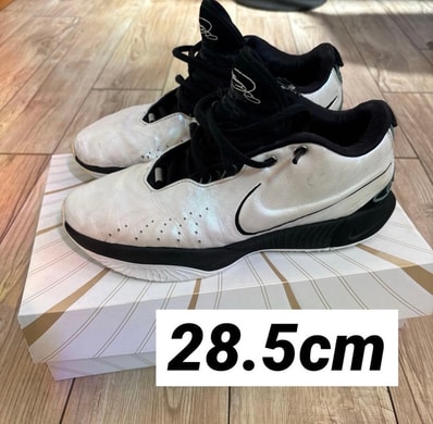 Nike LeBron 21 "Conchiolin"