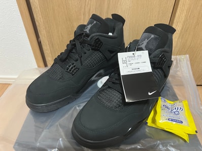 Nike Air Jordan 4 Retro OG "Black Cat" (2025)