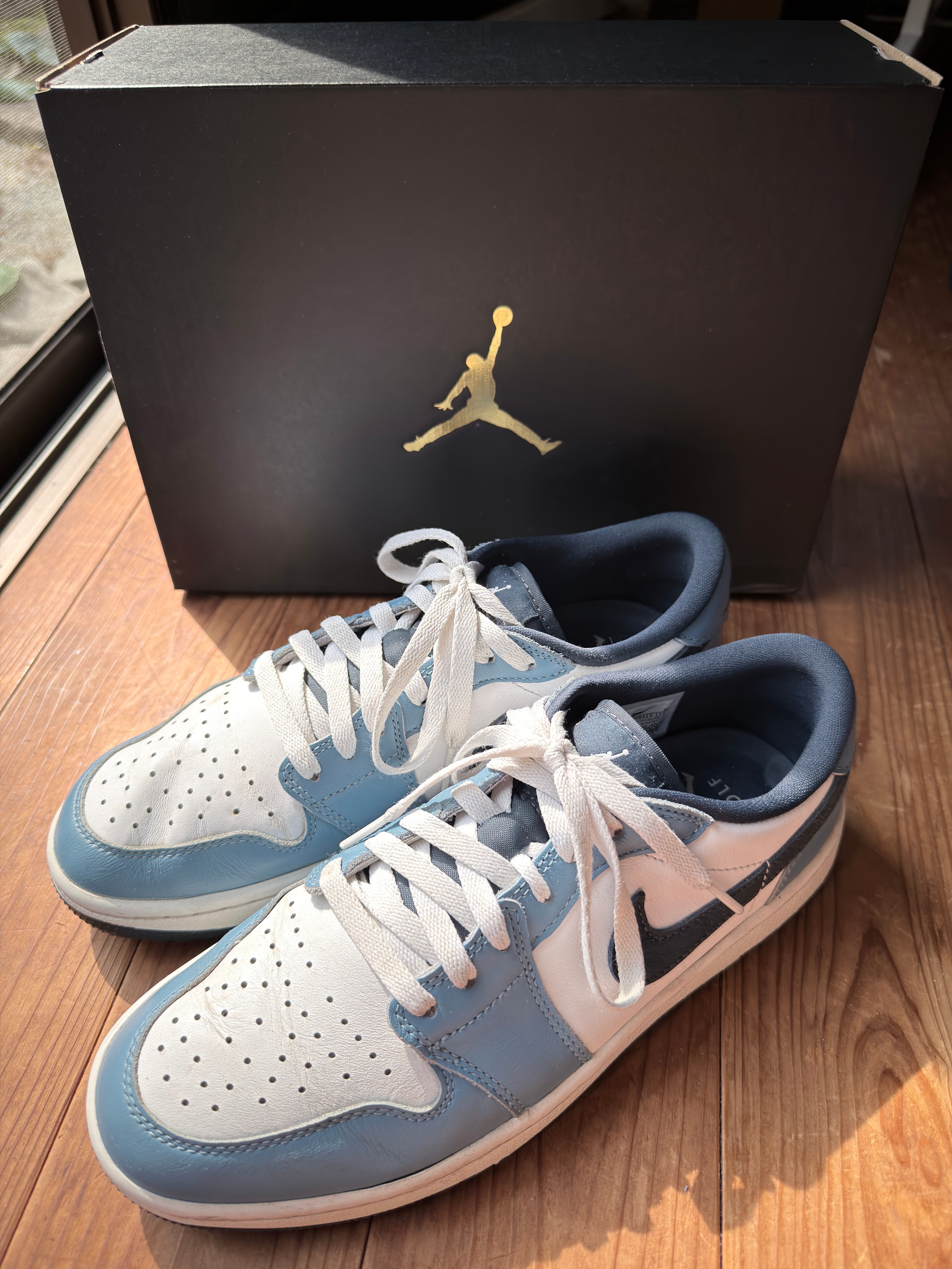 Nike Air Jordan 1 Low Golf "Aege Storm"