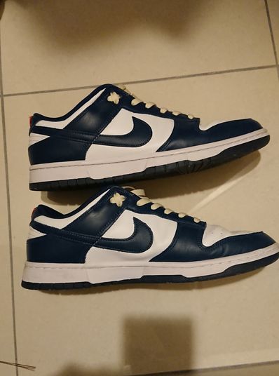 Nike Dunk Low "Valerian Blue"