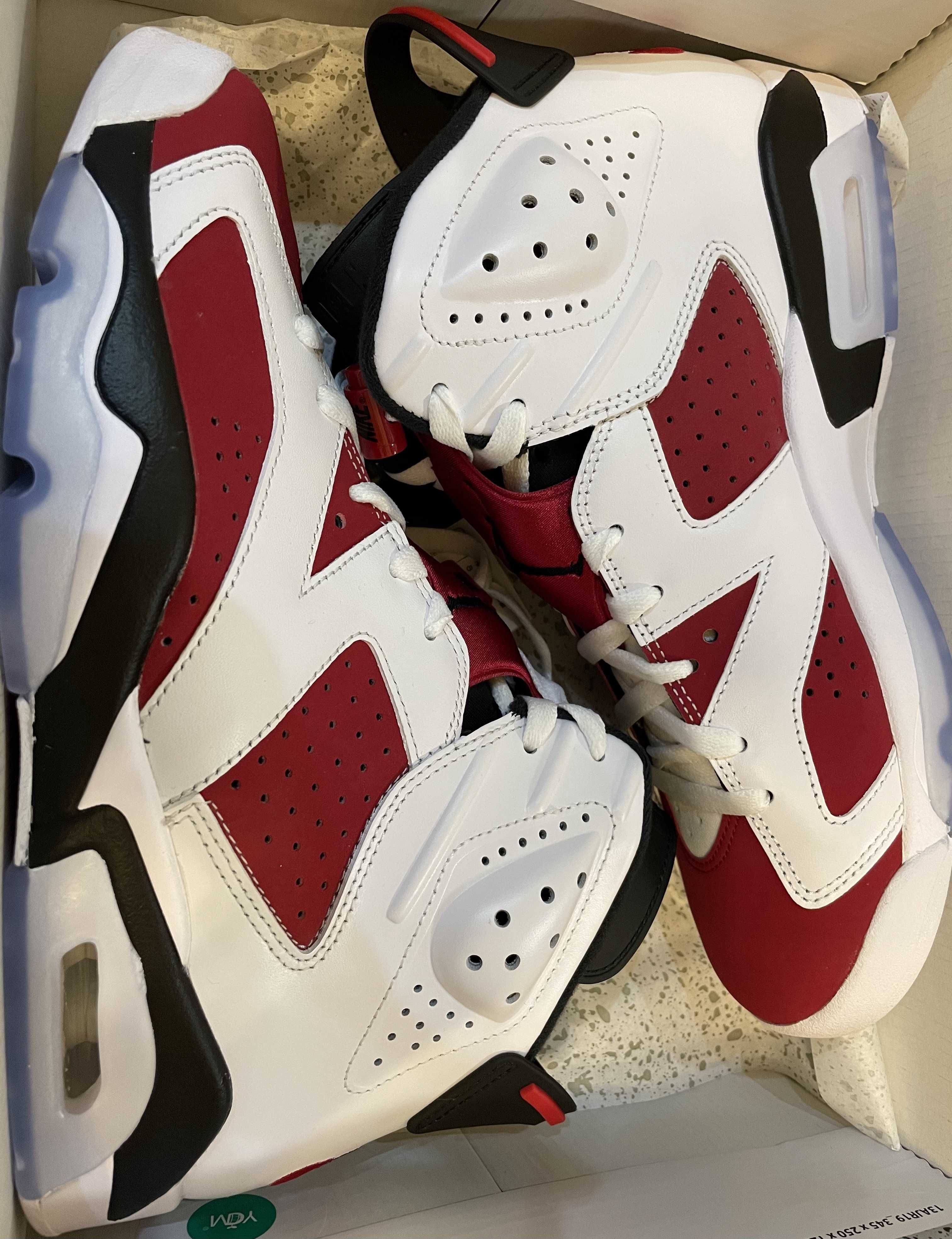 Nike Air Jordan 6 "Carmine" (2021)