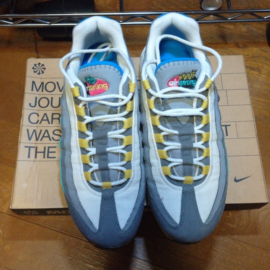 Nike Air Max 95 SE "Iron Gray/Celery"