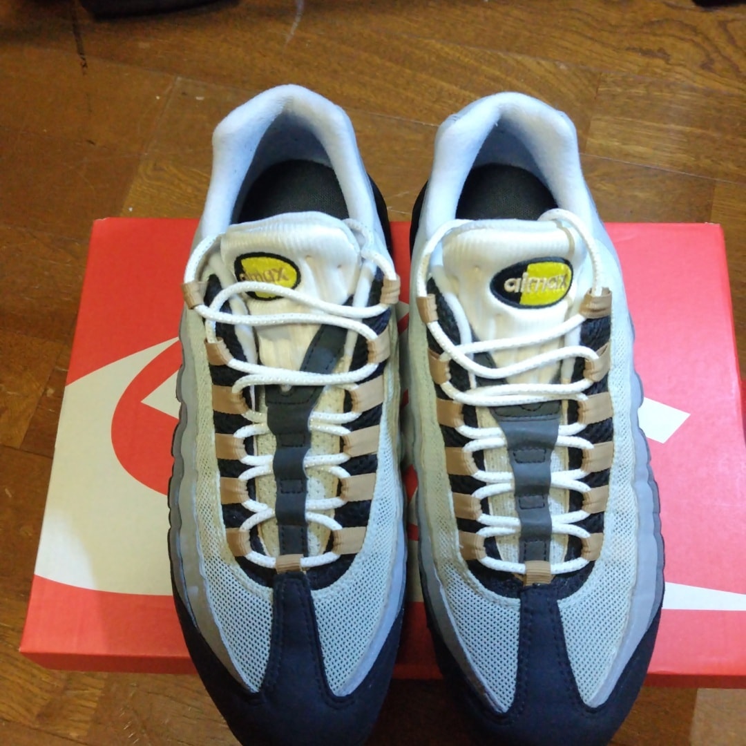Nike Air Max 95 "Icons"